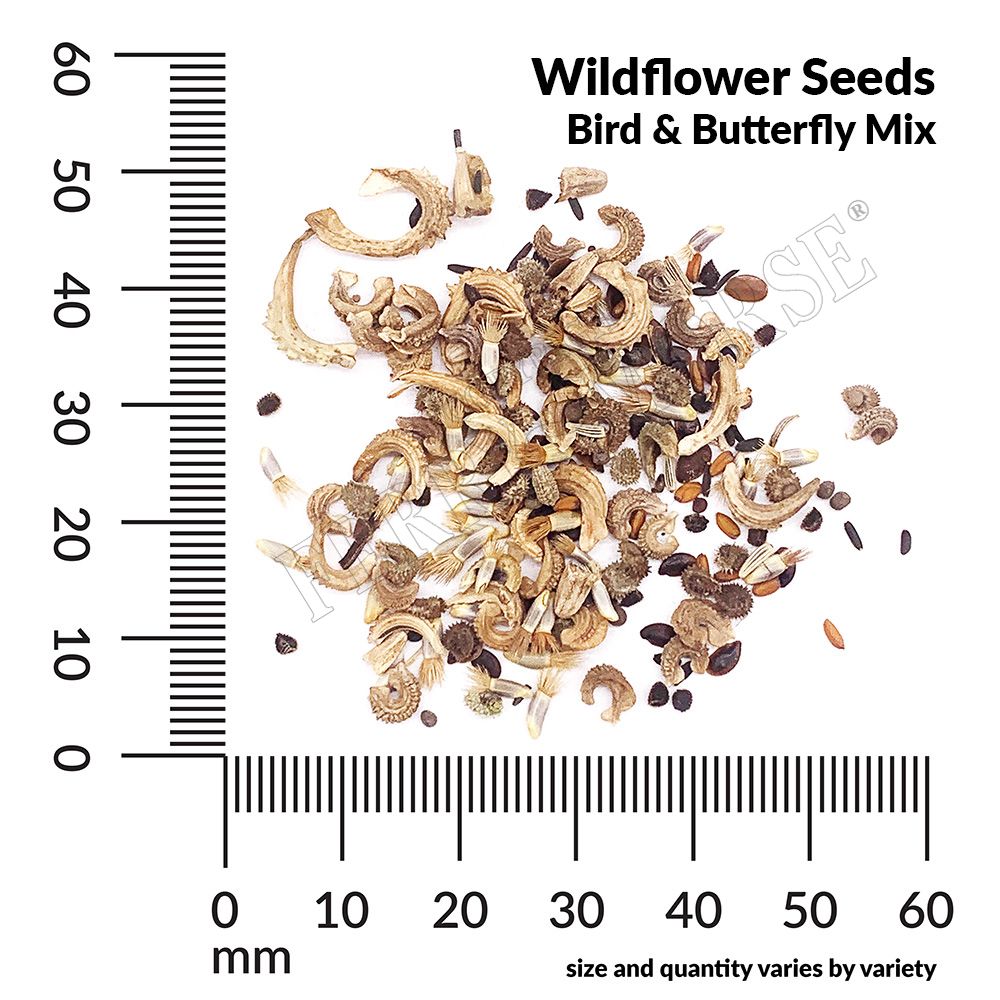 Wildflower bird and butterfly mix seed spill and measurement
